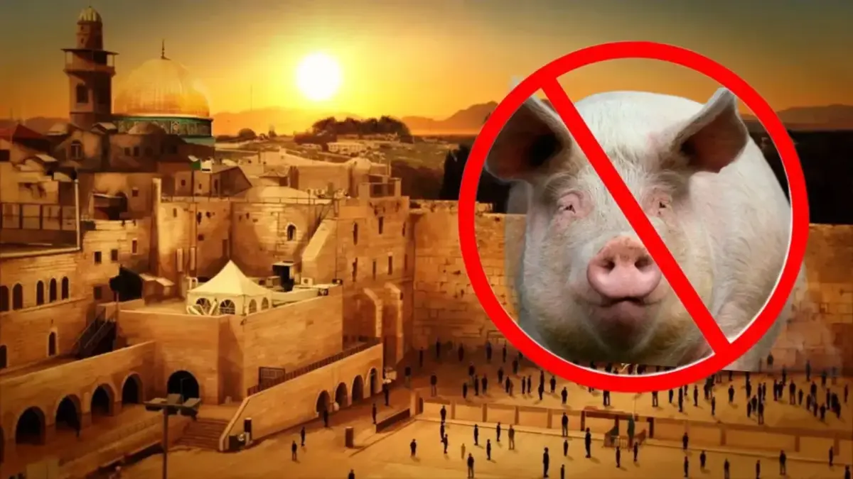 Фото: wallpapers.com, hibiny.ru