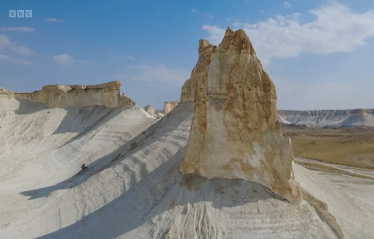 Фото: стоп-кадр из видео