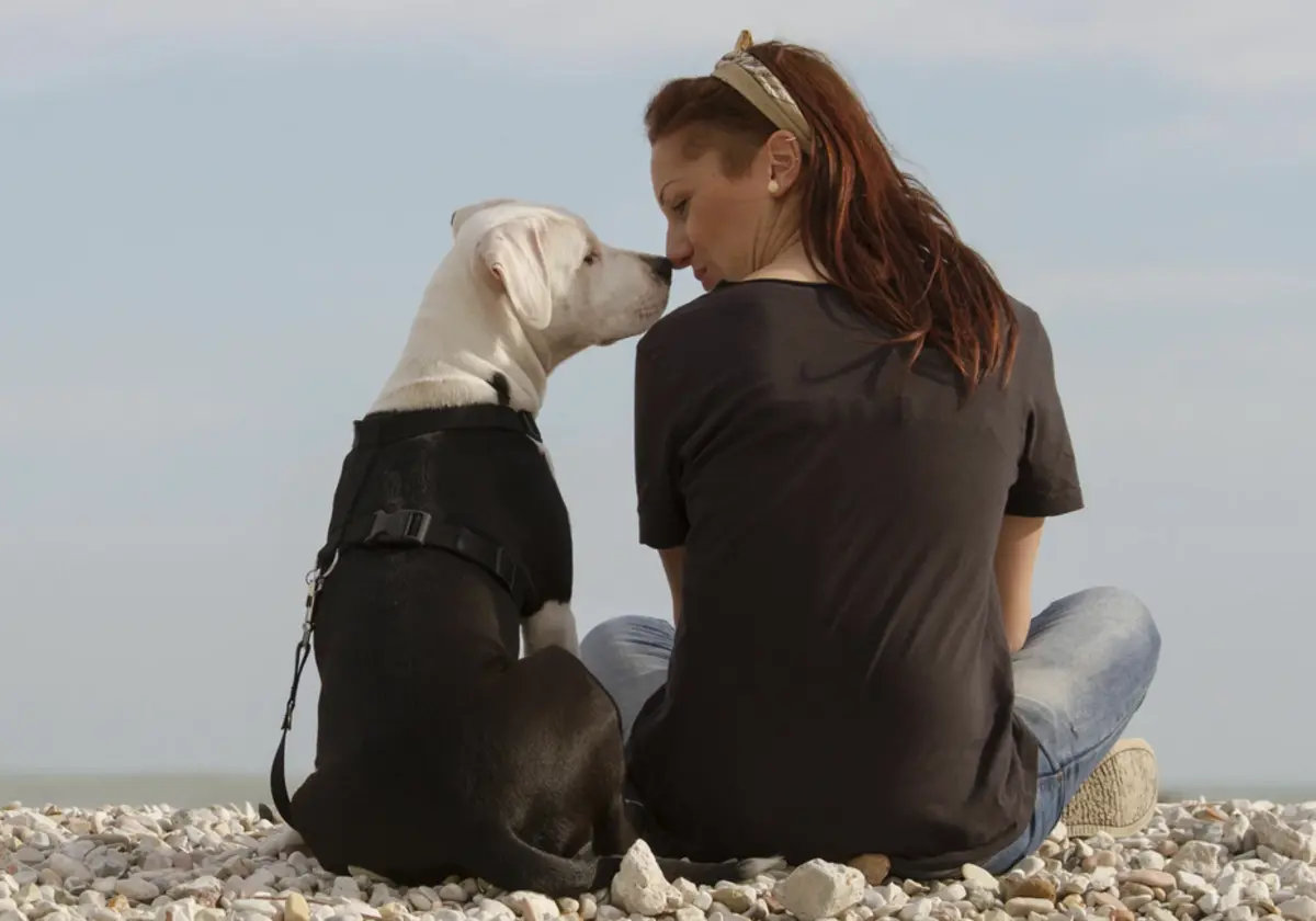 Фото: ru.pinterest.com