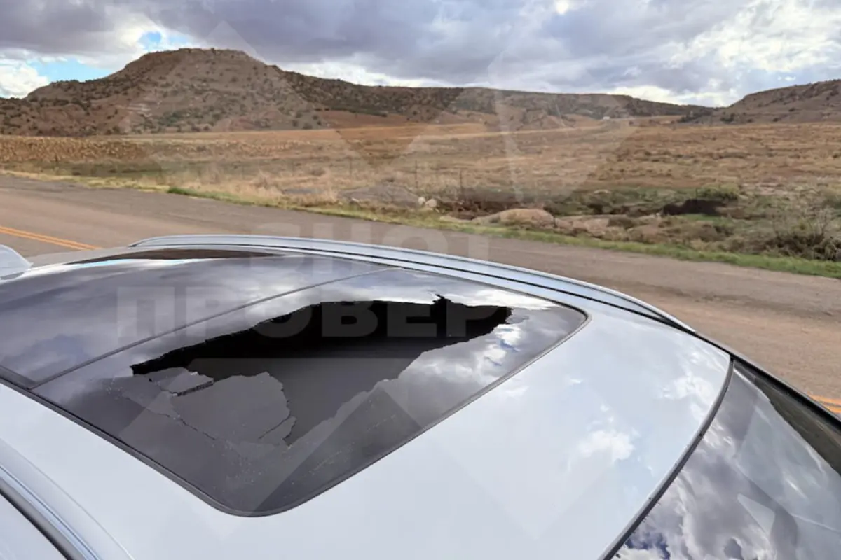 Telegram-канал SHOT ПРОВЕРКА