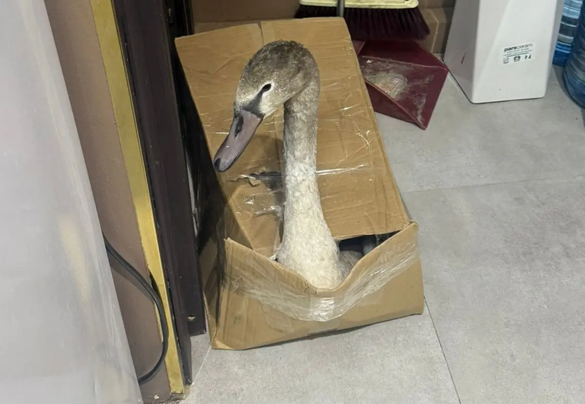 Фото Азамата Сарсенбаева