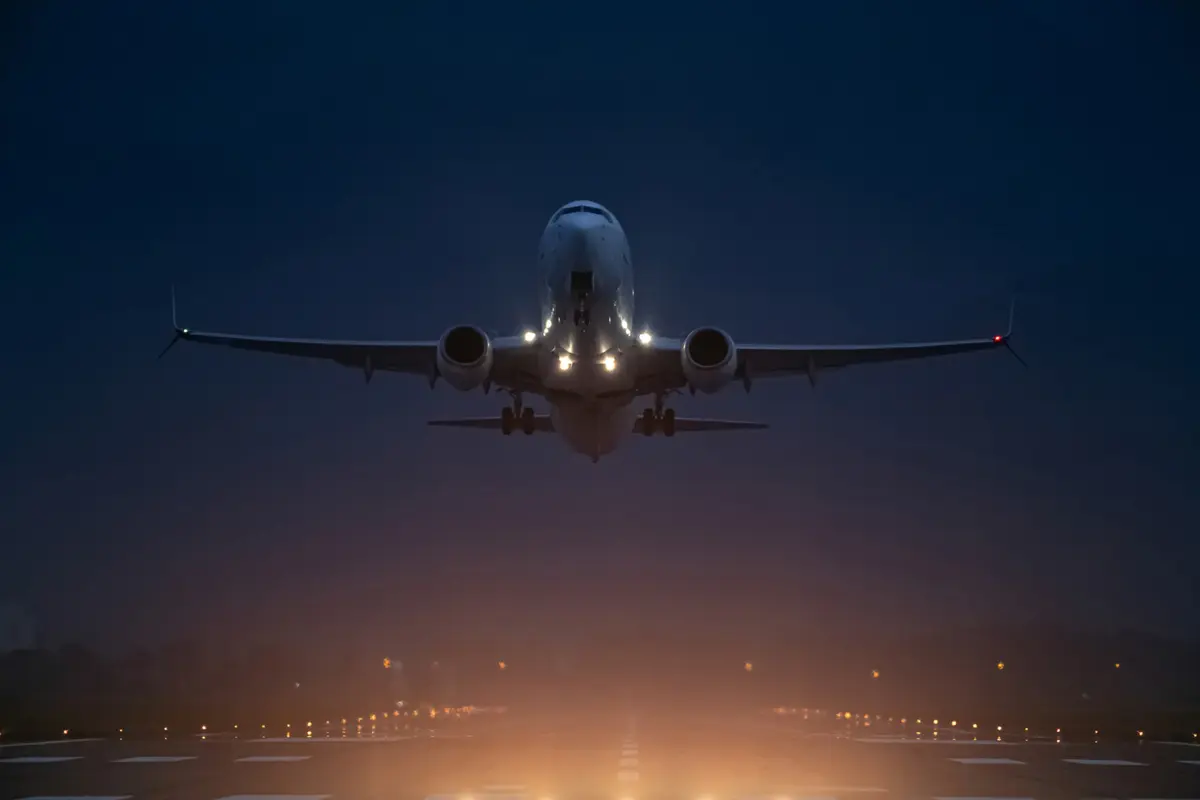 Фото: Borkin Vadim/Shutterstock/FOTODOM