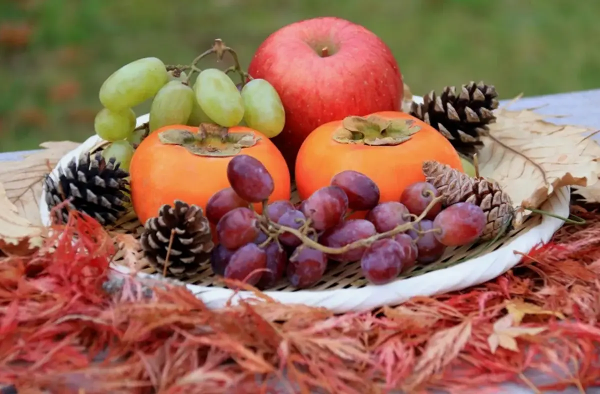 Фото: кадр YouTube