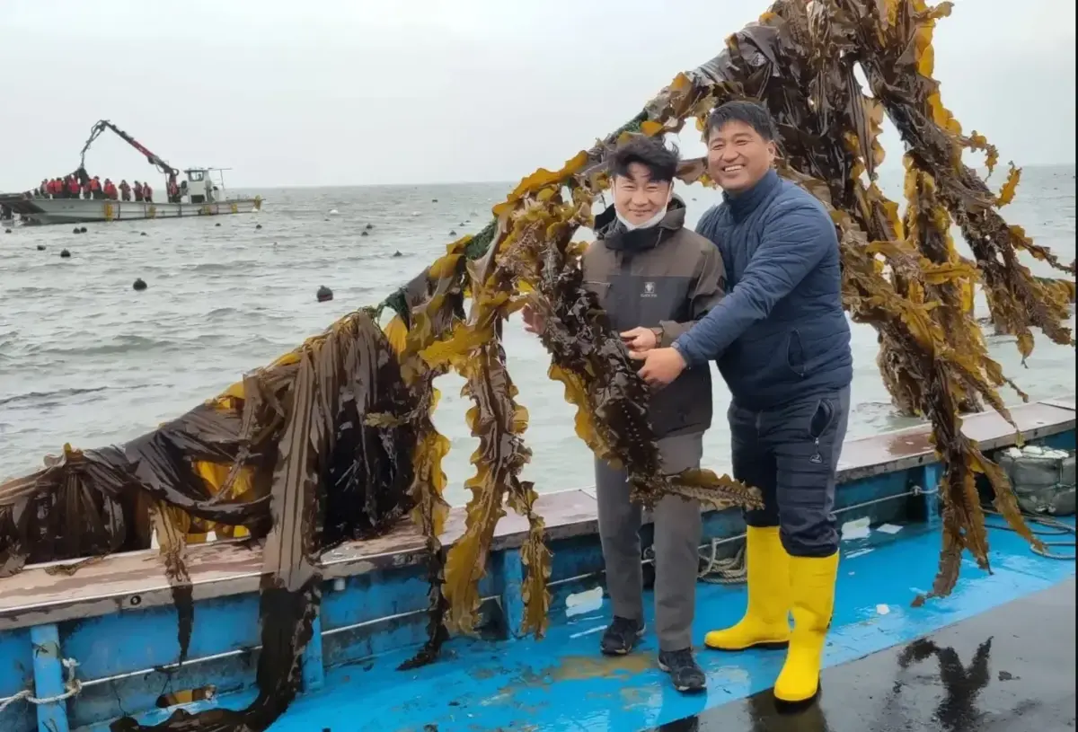 Фото: carymor.wales