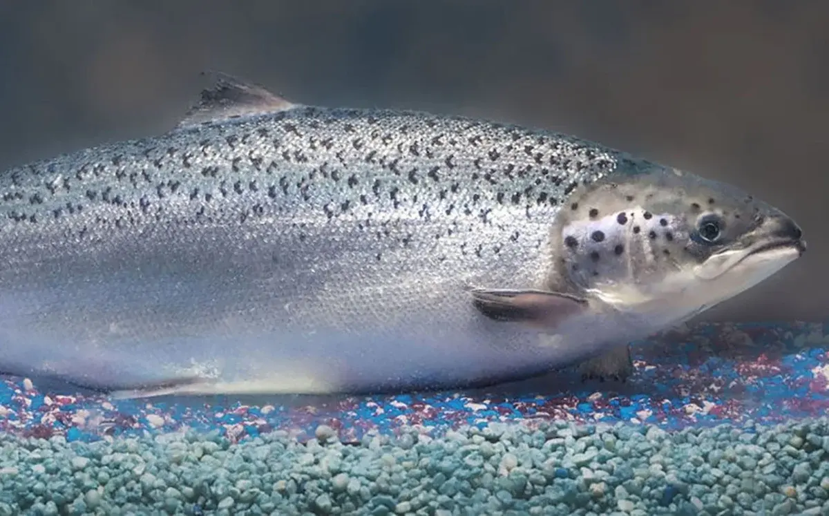 Иллюстративное фото с сайта pofoto.club