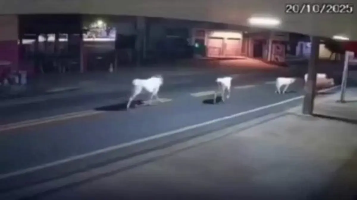 Кадр из видео