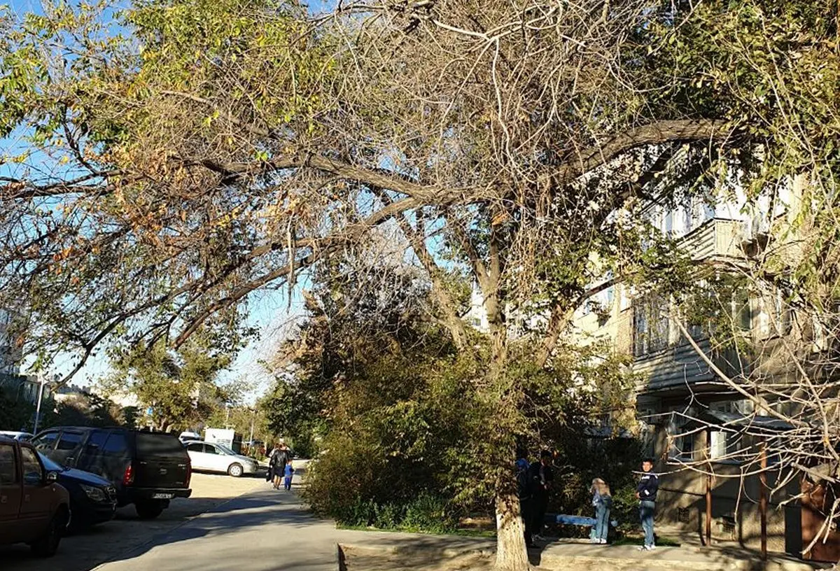 Фото местных жителей