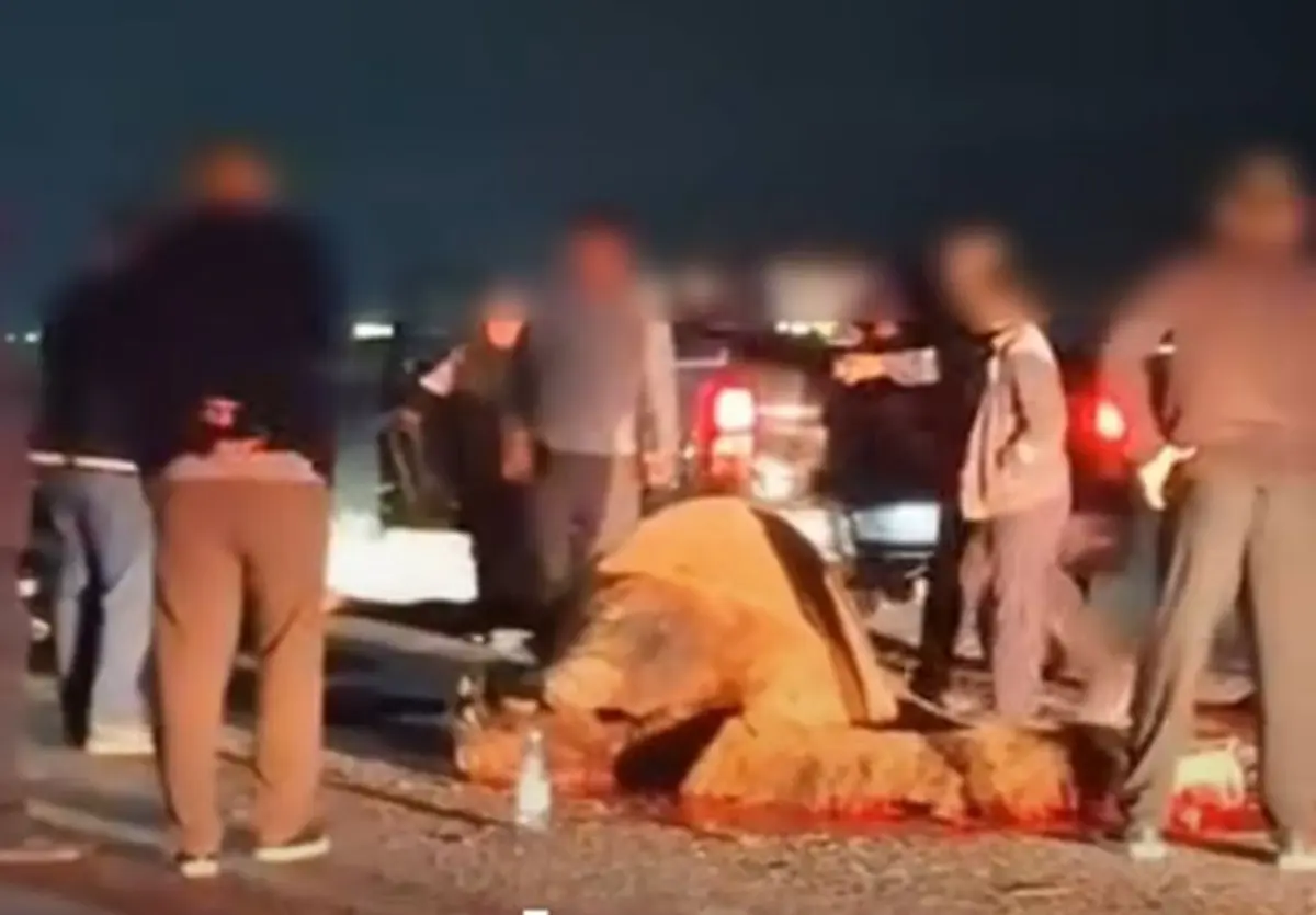 Фото очевидцев