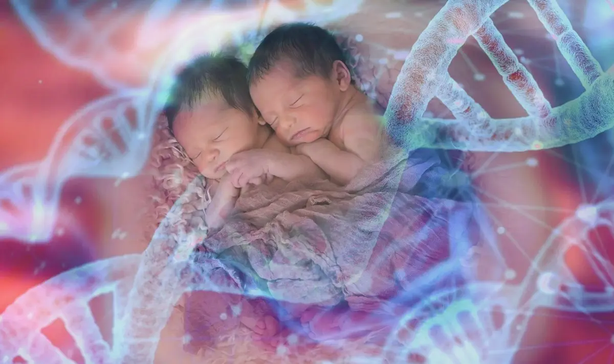 Фото: za.pinterest.com