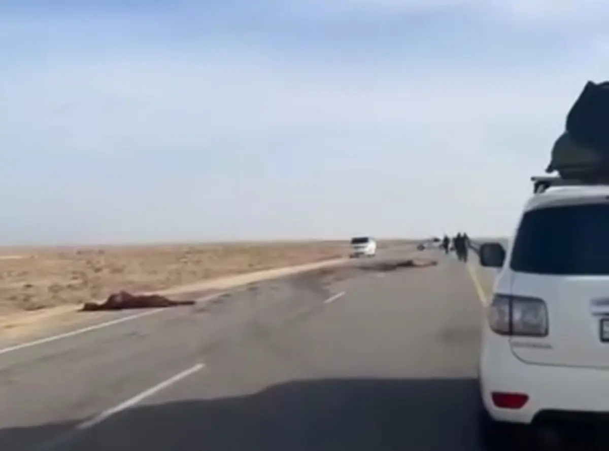 Фото очевидцев