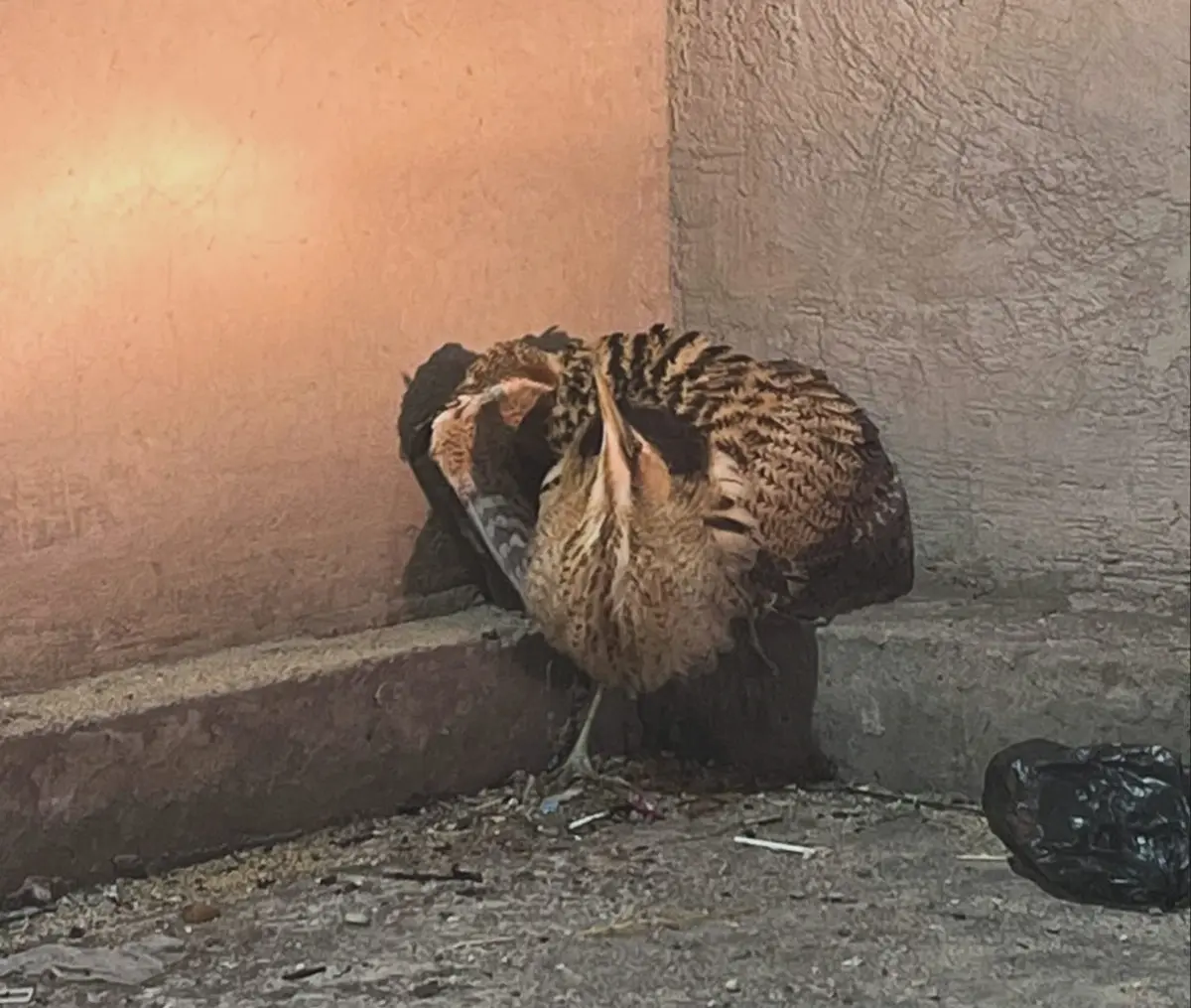 Фото полиции Мунайлинского района