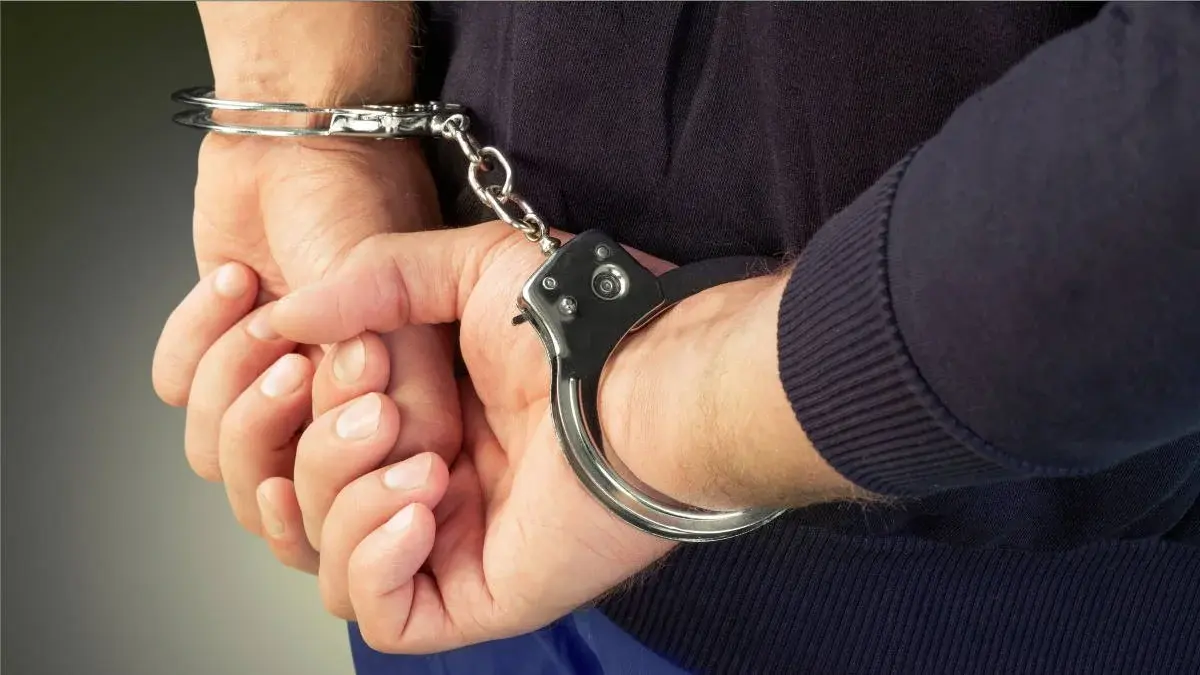 Фото: profile.ru