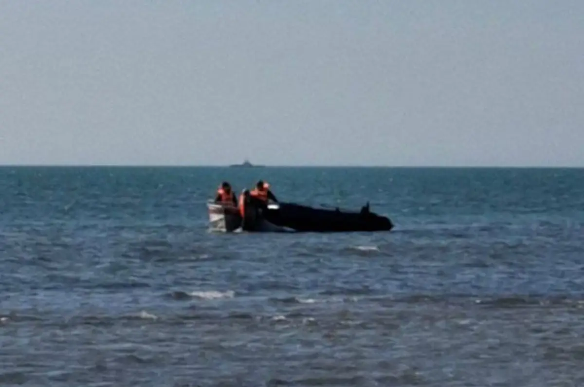 Фото: стоп-кадр из видео