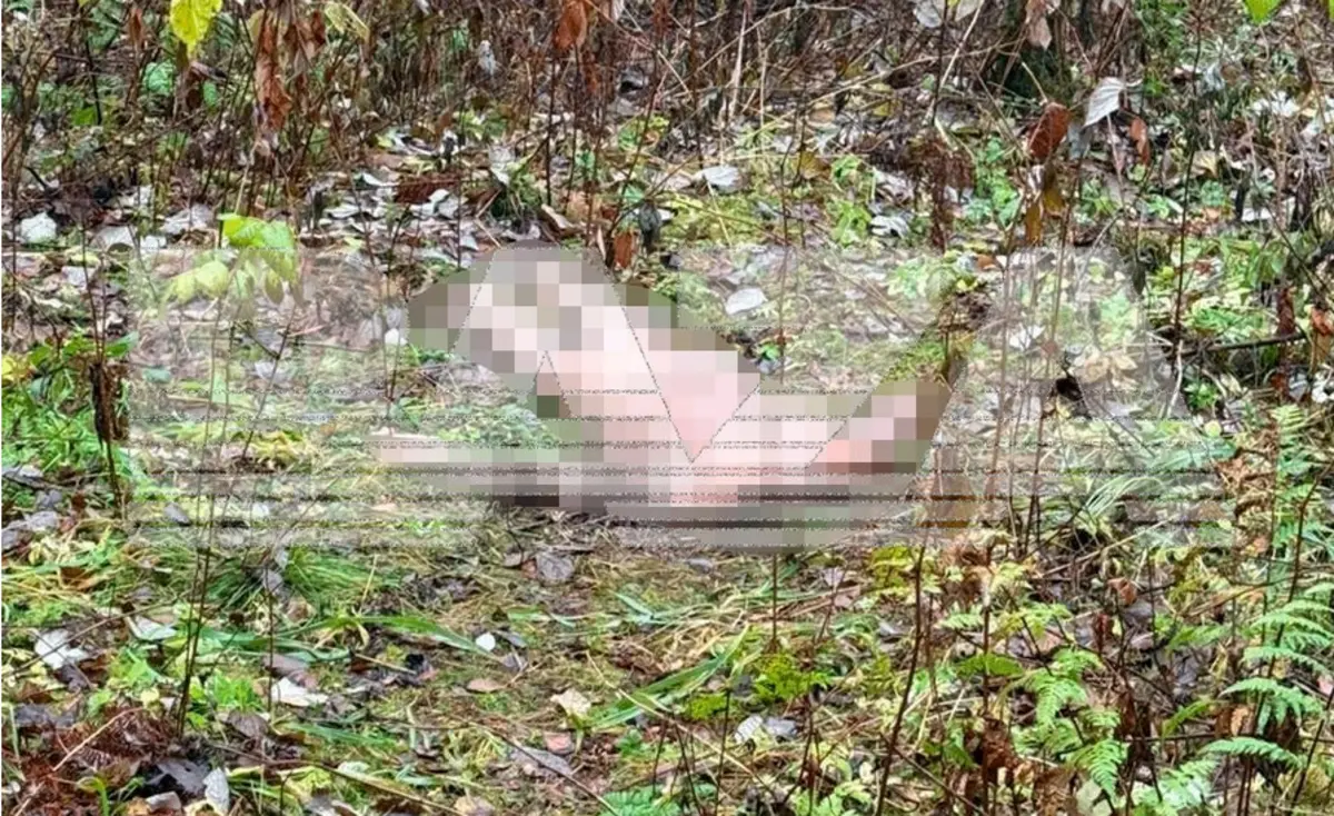 Фото: Telegram-канал «Baza»