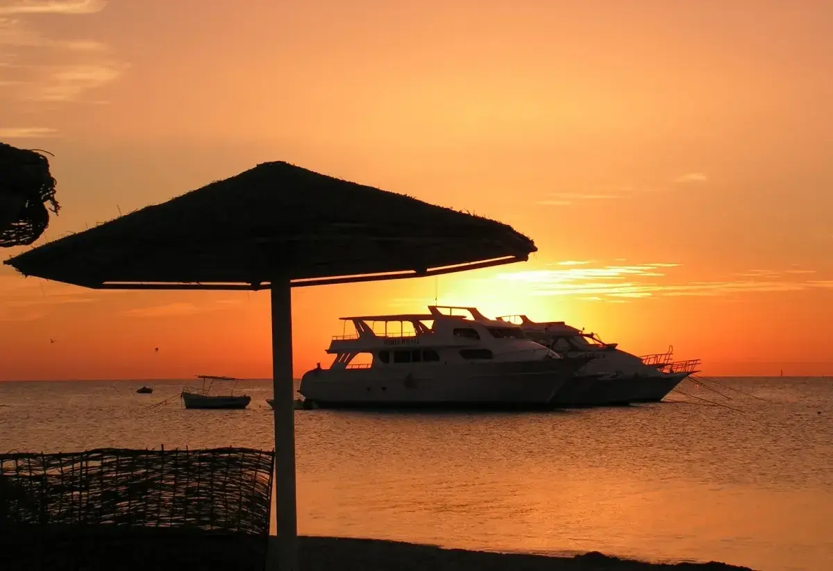 Фото: pxhere.com