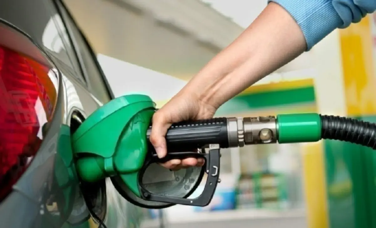 Фото: econostrum.info