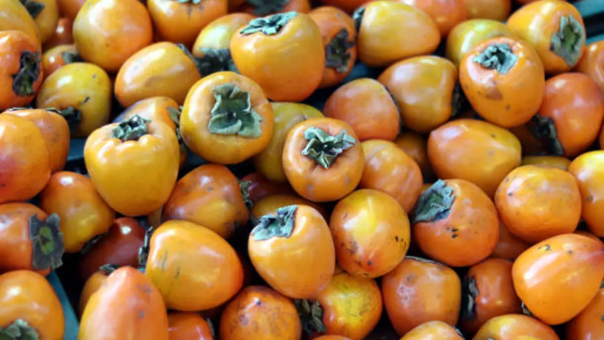 Фото pixabay.com