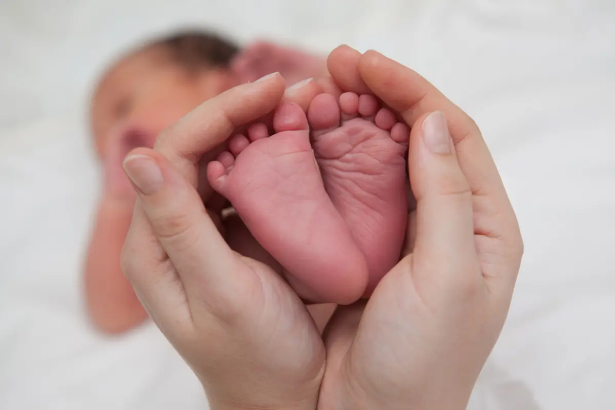 Фото: alligator-studio.ru