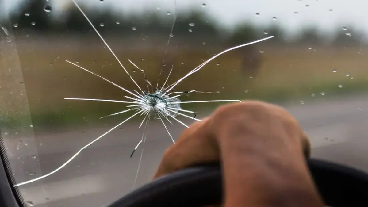 Фото: profile.ru