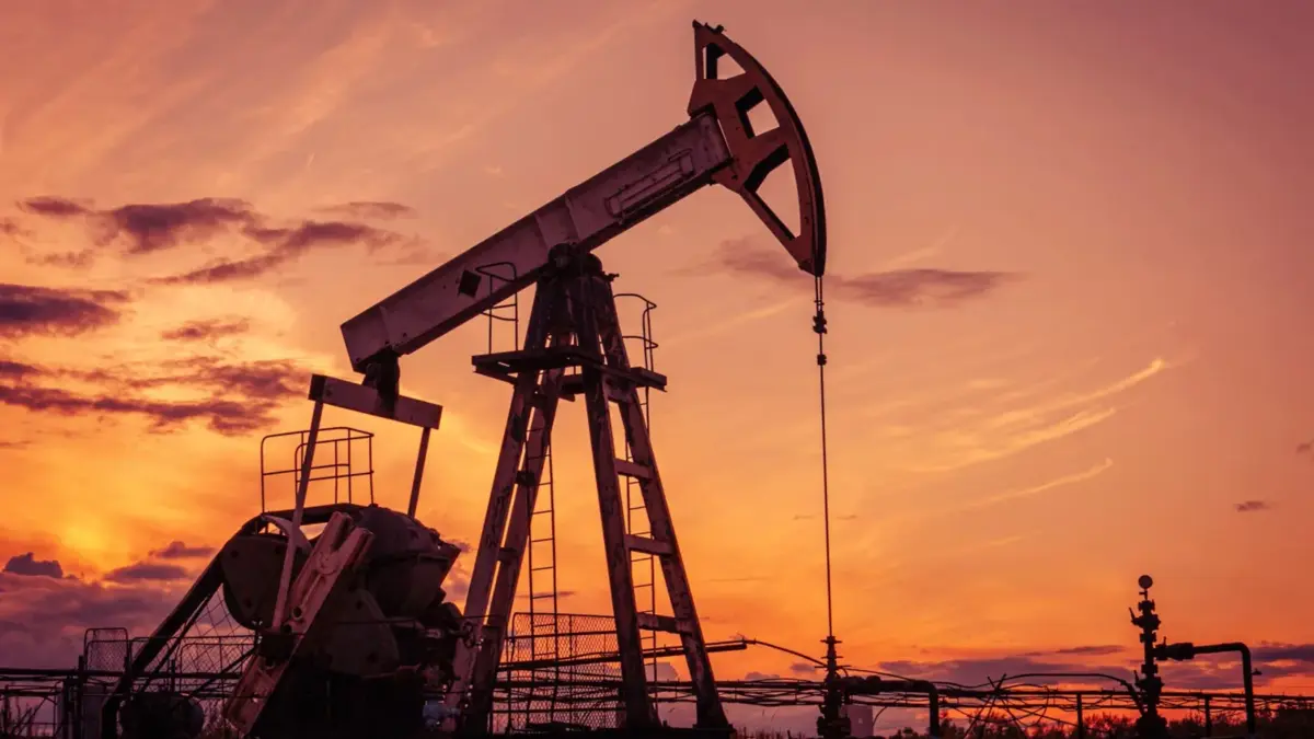 Фото: ded pixto/Shutterstock/Fotodom