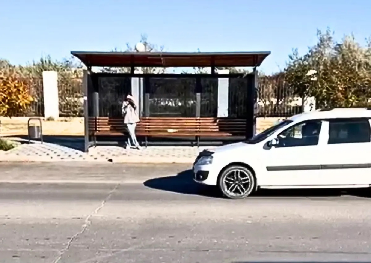 Фото: кадр видео