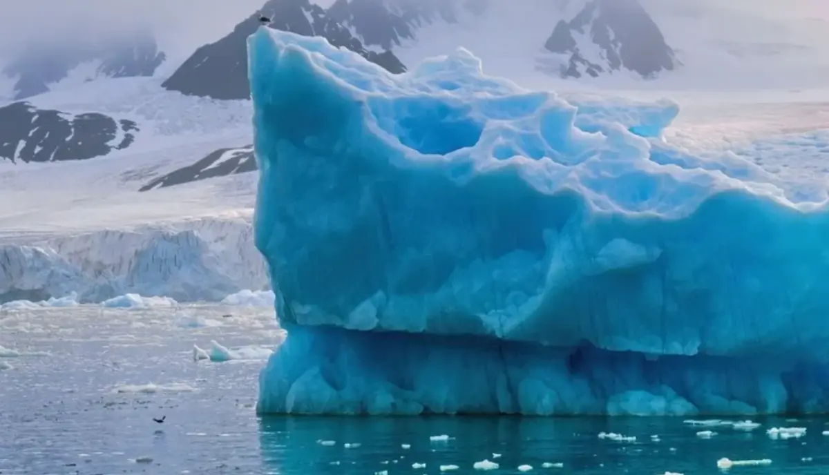 Фото: кадр YouTube