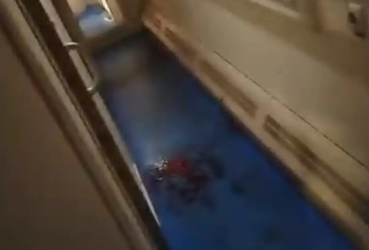 Фото: стоп-кадр из видео