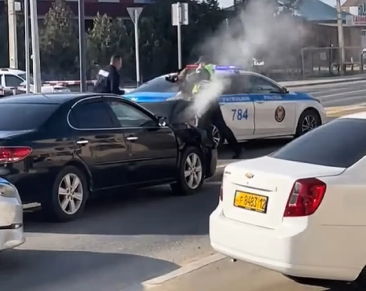 Фото: кадр видео