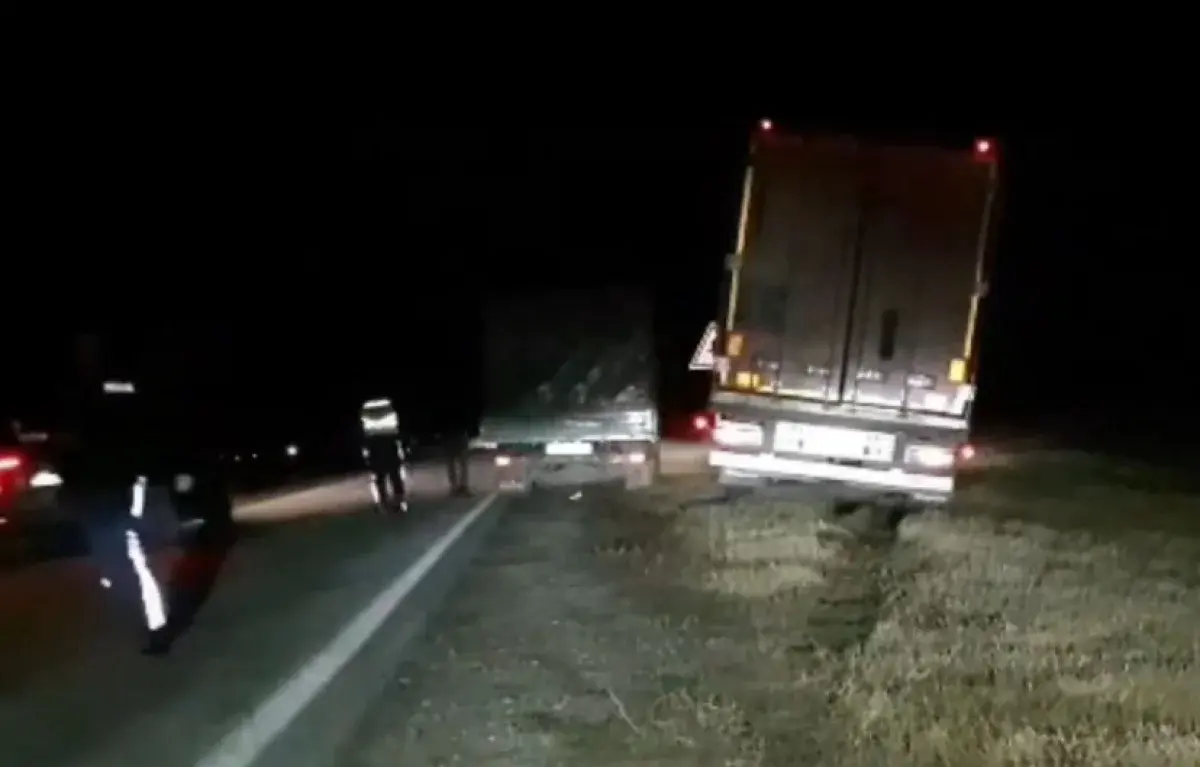 Фото: ДП Костанайской области