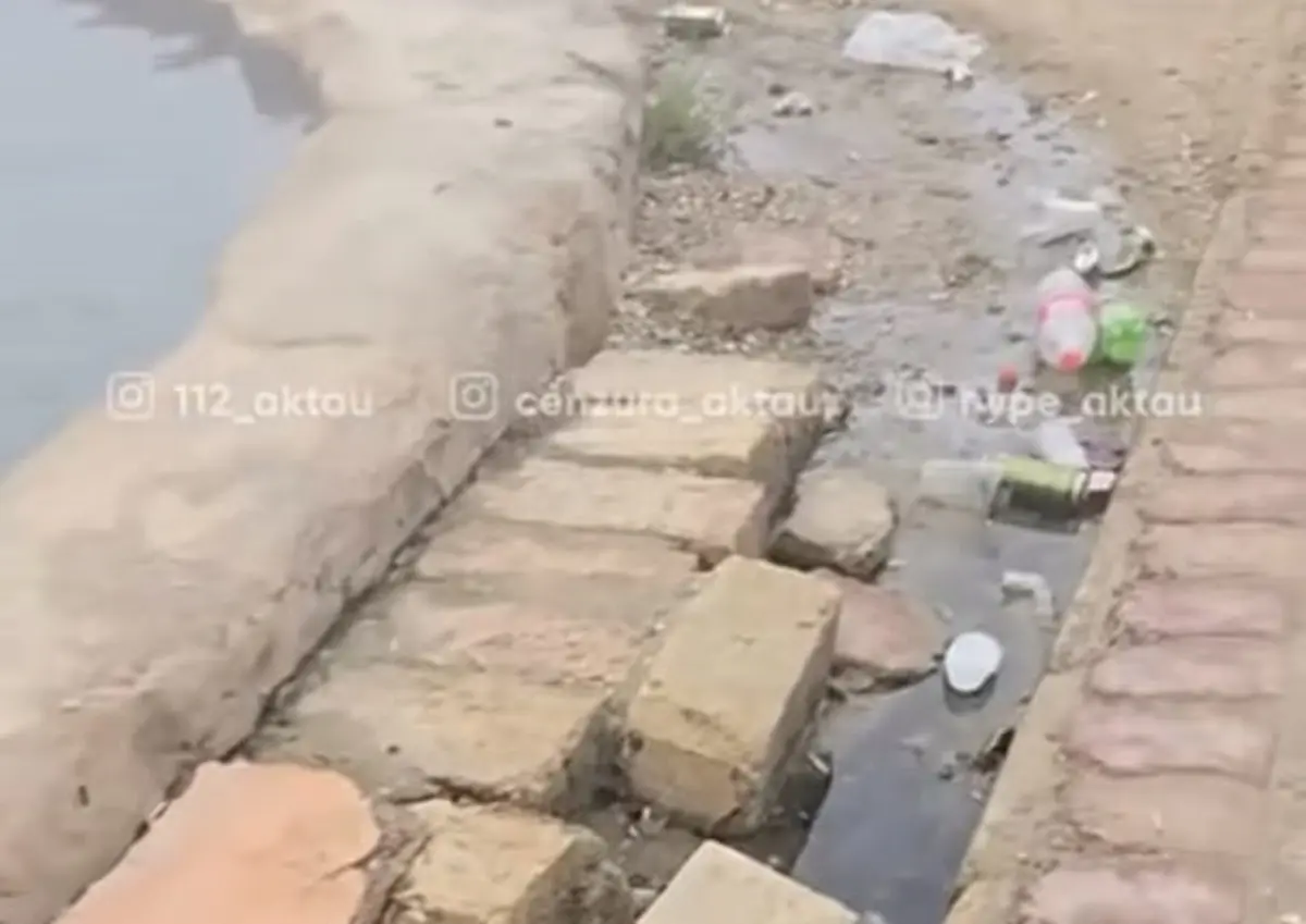 Фото: стоп-кадр из видео