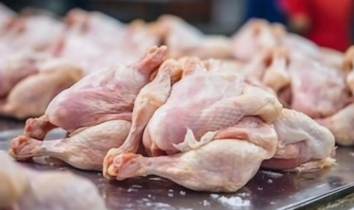 Фото: кадр YouTube