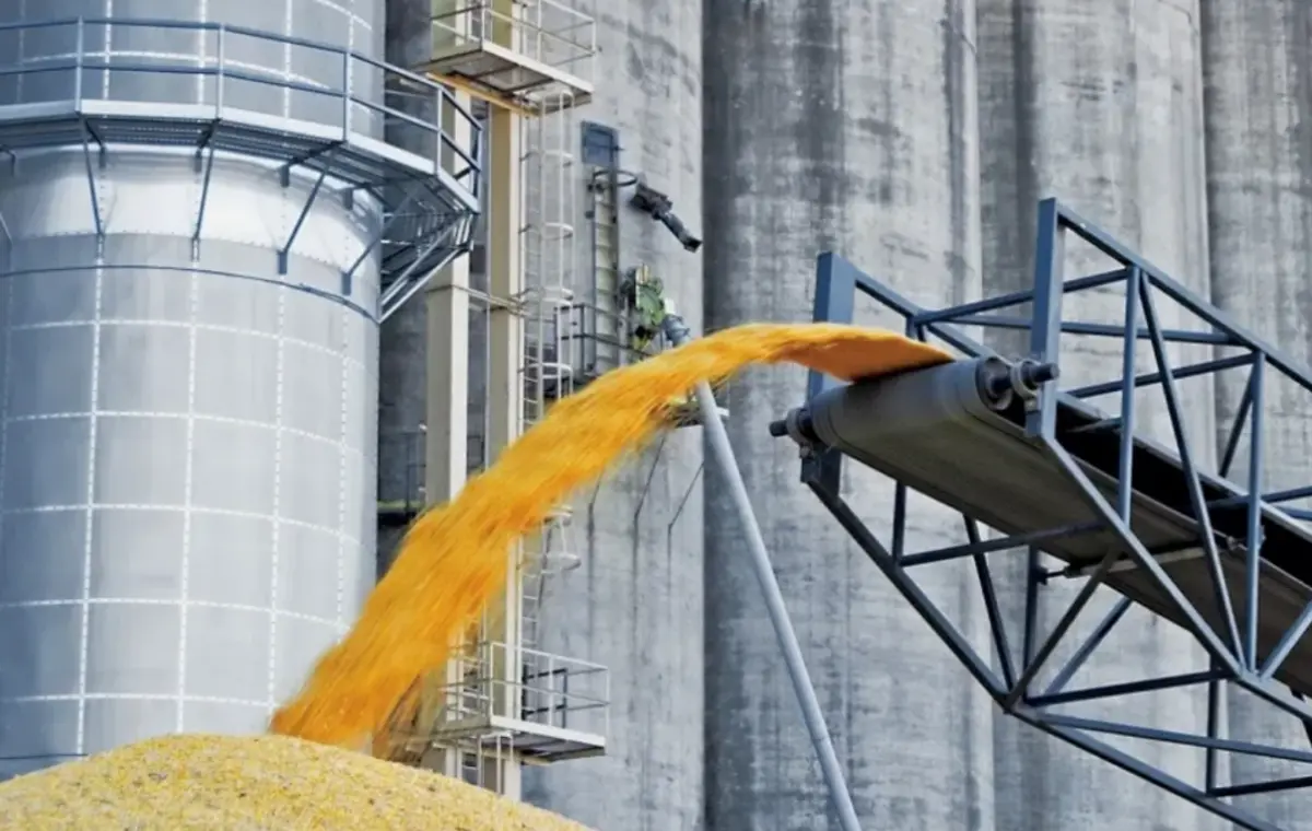 Фото: кадр YouTube