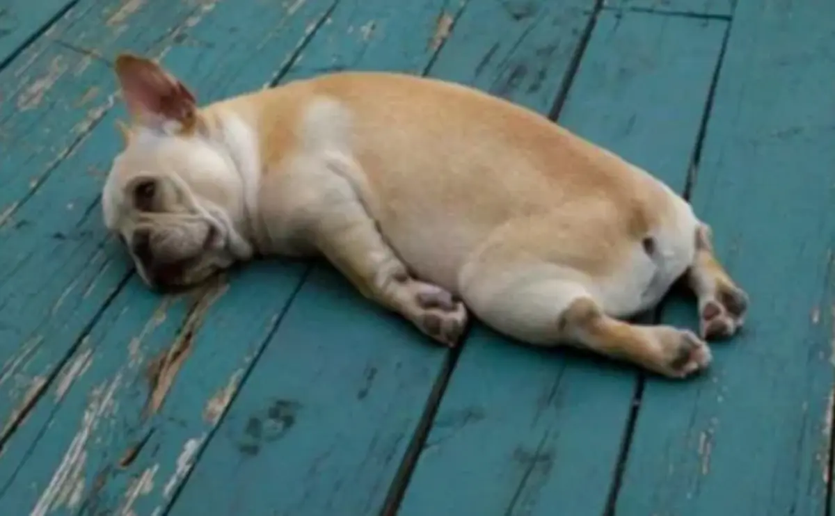 Фото: кадр YouTube