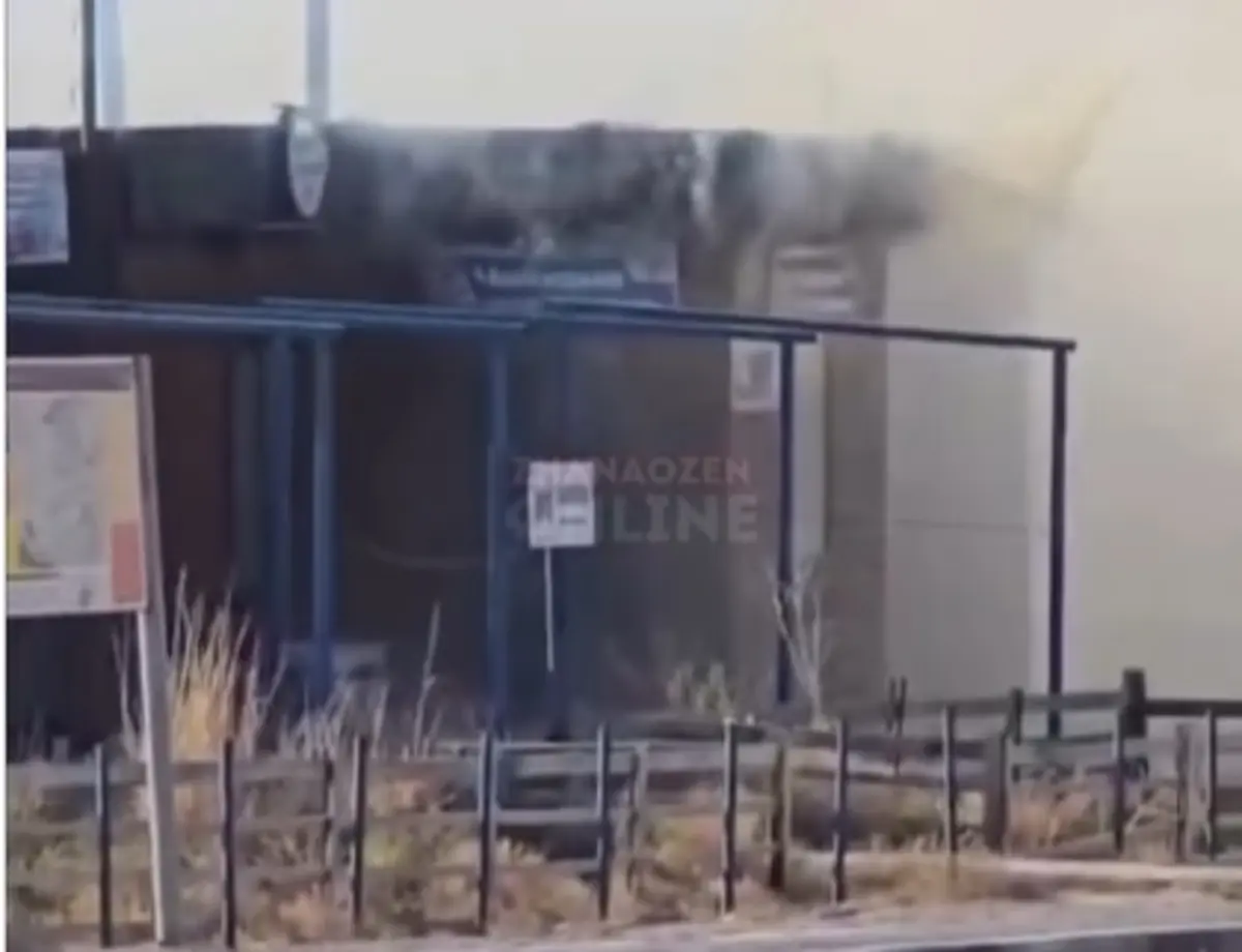 Скриншот из видео