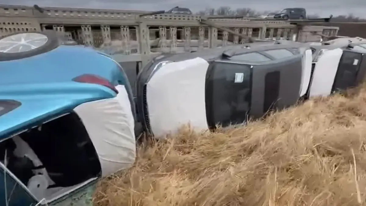 Фото: ДП Акмолинской области