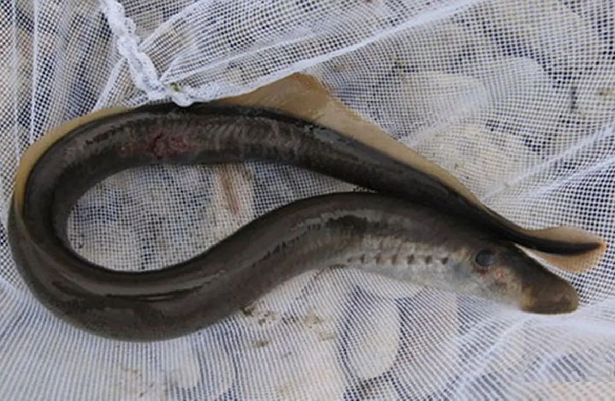 Фото с сайта tursar.ru