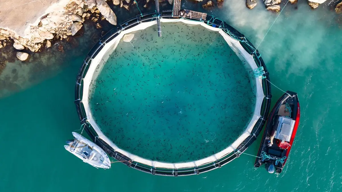 Фото: ЦОК Мангистауской области