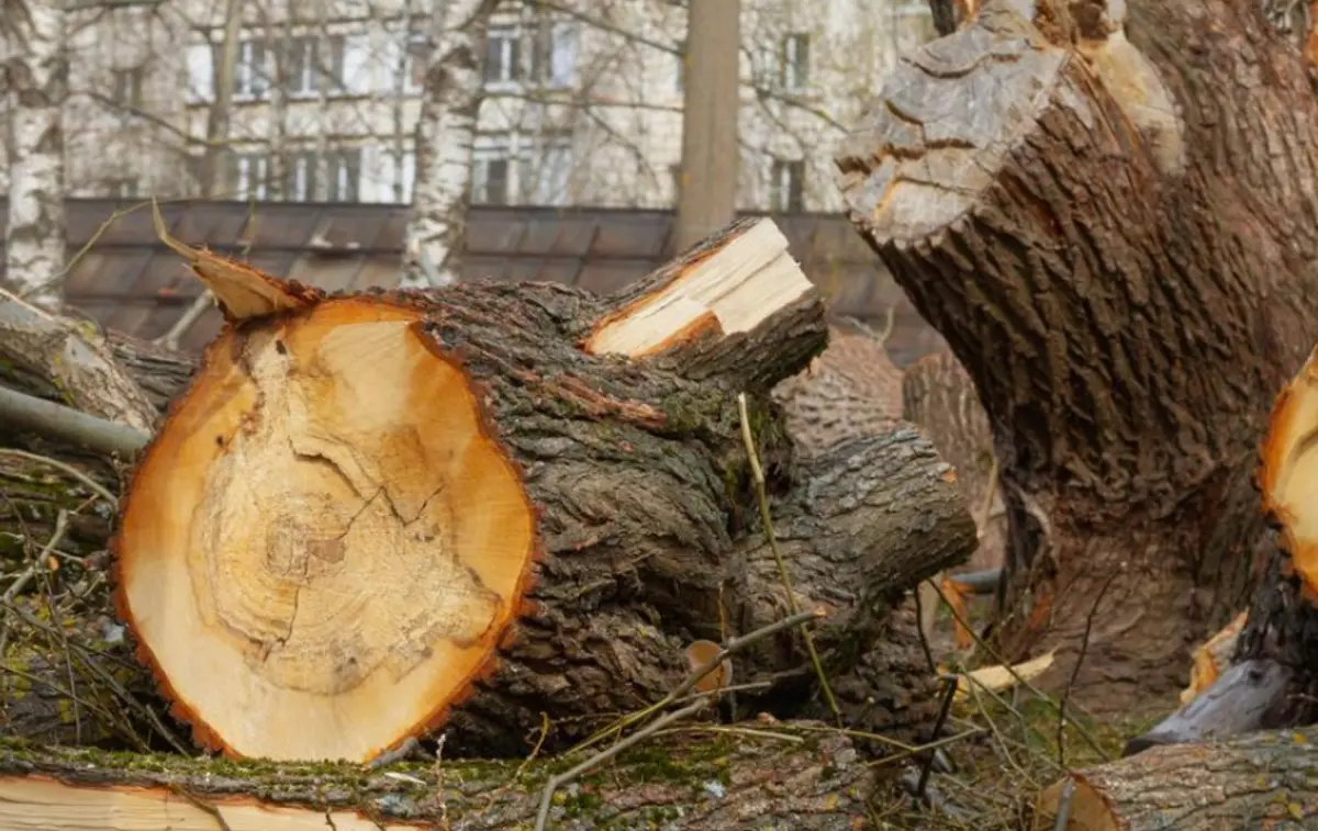 Фото: кадр YouTube