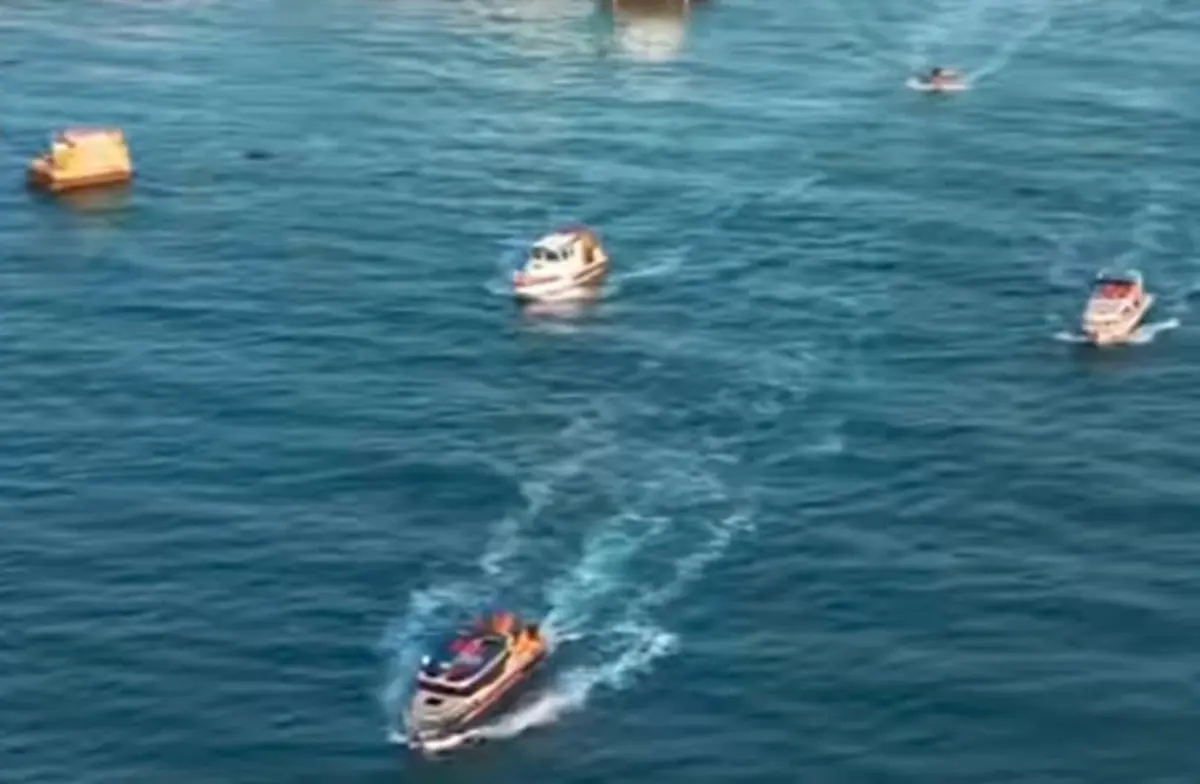 стоп-кадр из видео