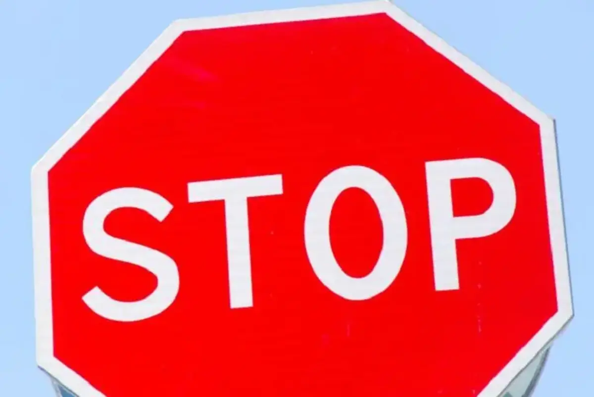 Фото: © Белновости