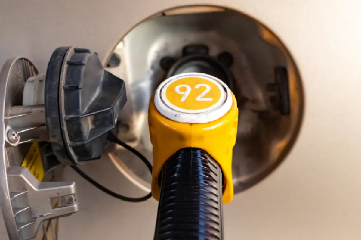 Фото: shutterstock.com