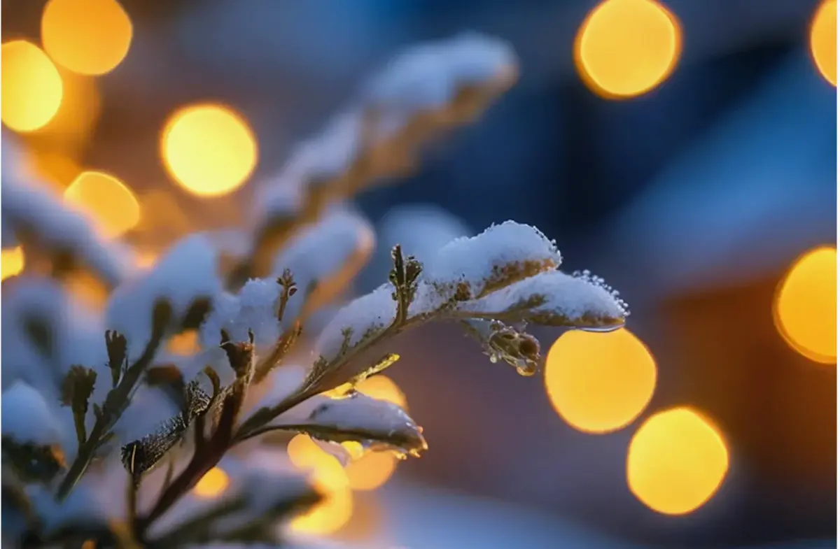 Фото: кадр YouTube