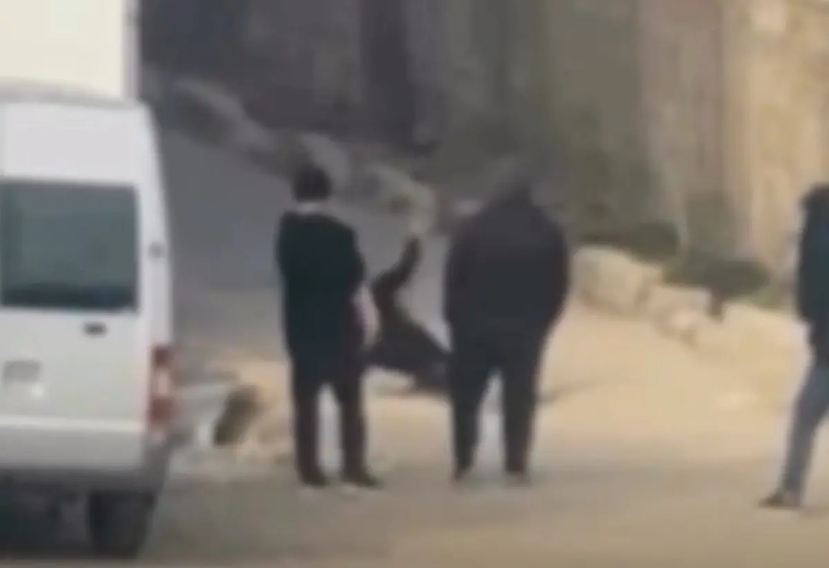 Фото: кадр видео