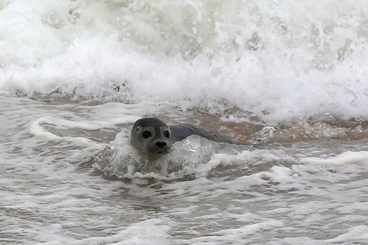 Фото: Global Look Press