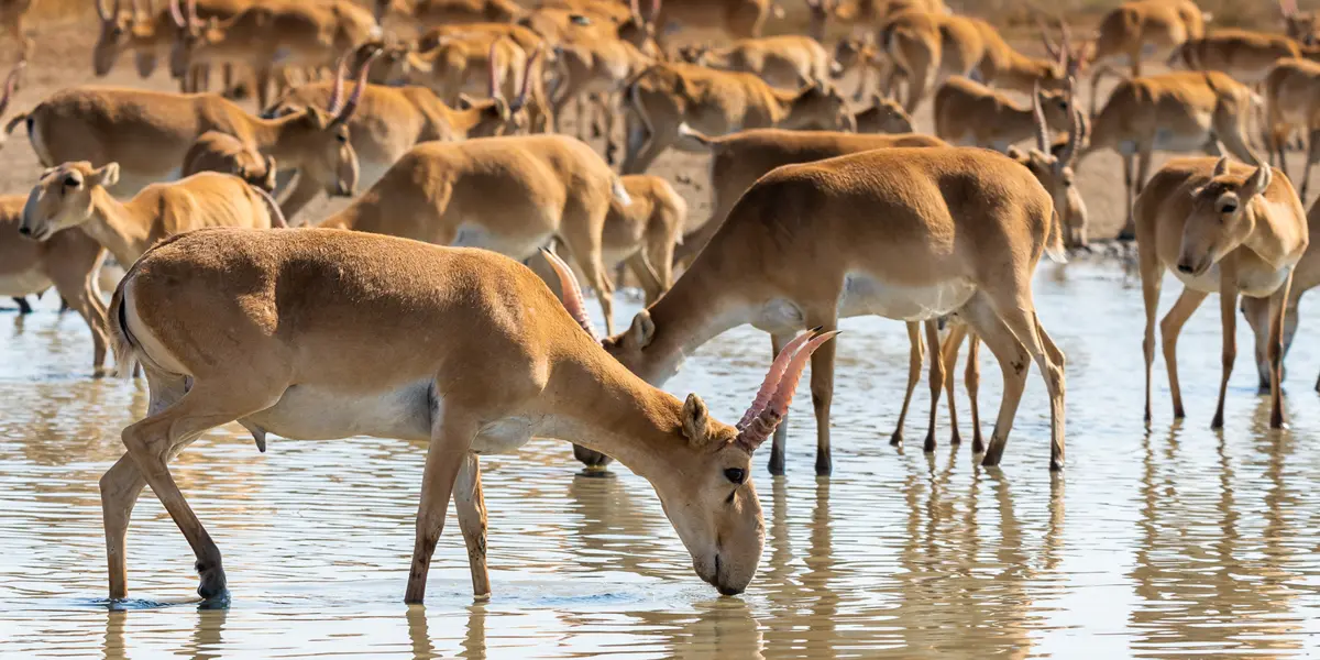 Фото: lifehacker.ru