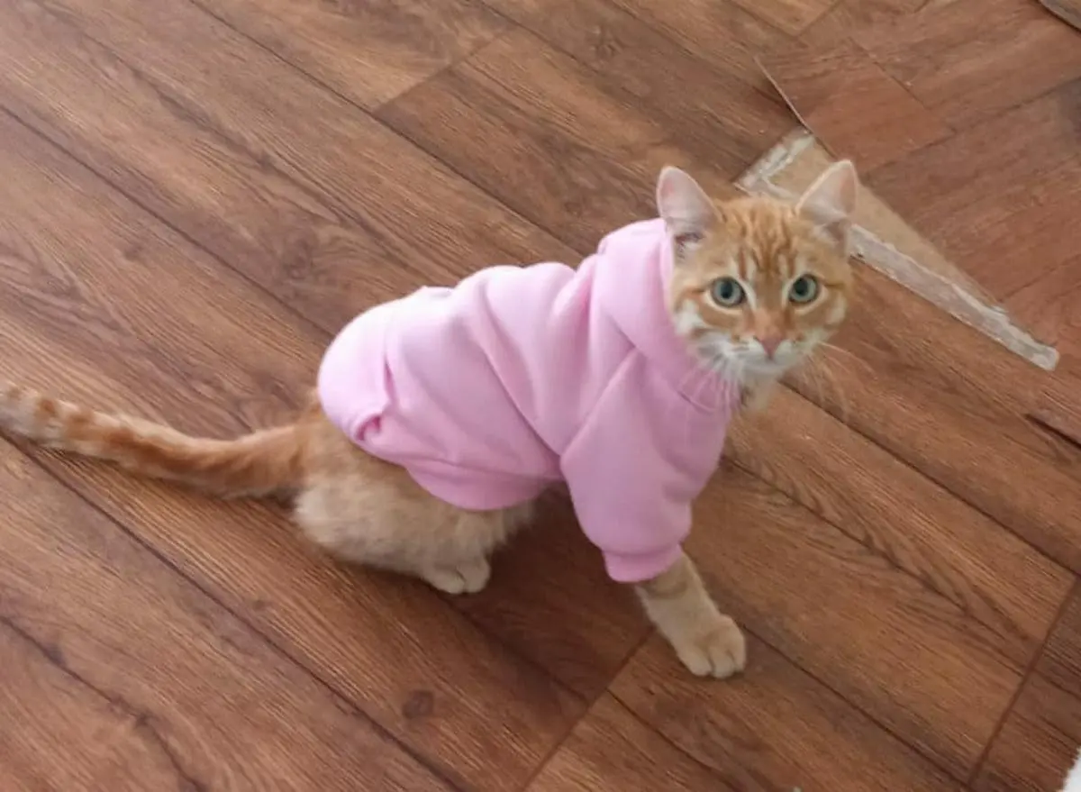 Фото предоставил Назим