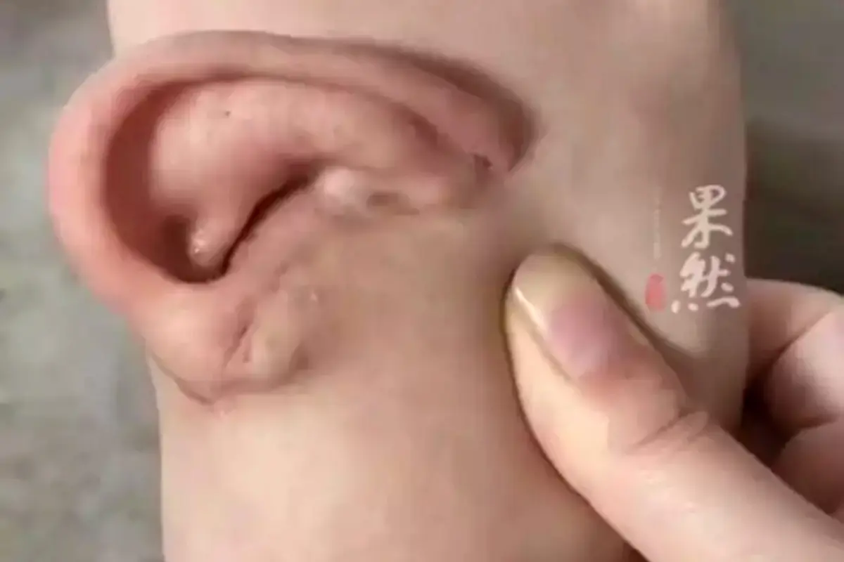 Фото: соцсети