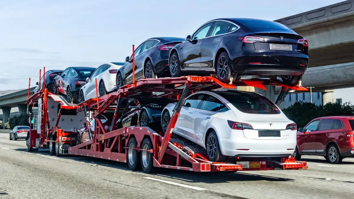 Фото: shutterstock.com/Andrei Stanescu