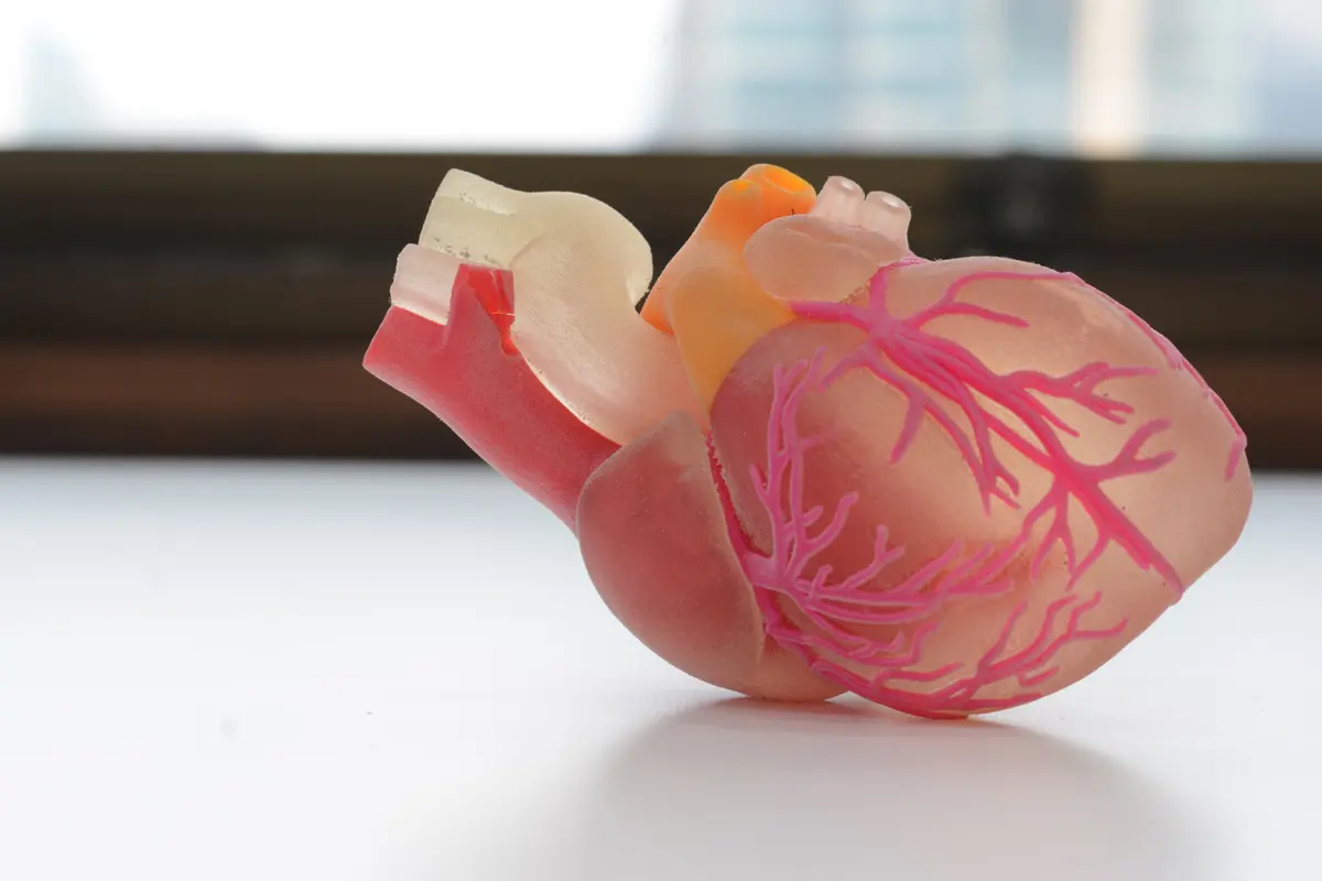 Фото:  Shutterstock