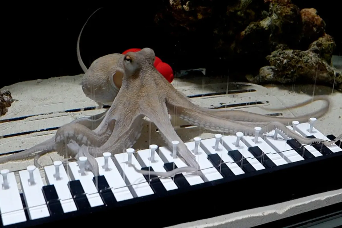 Фото: mattiasyoutube/Instagram